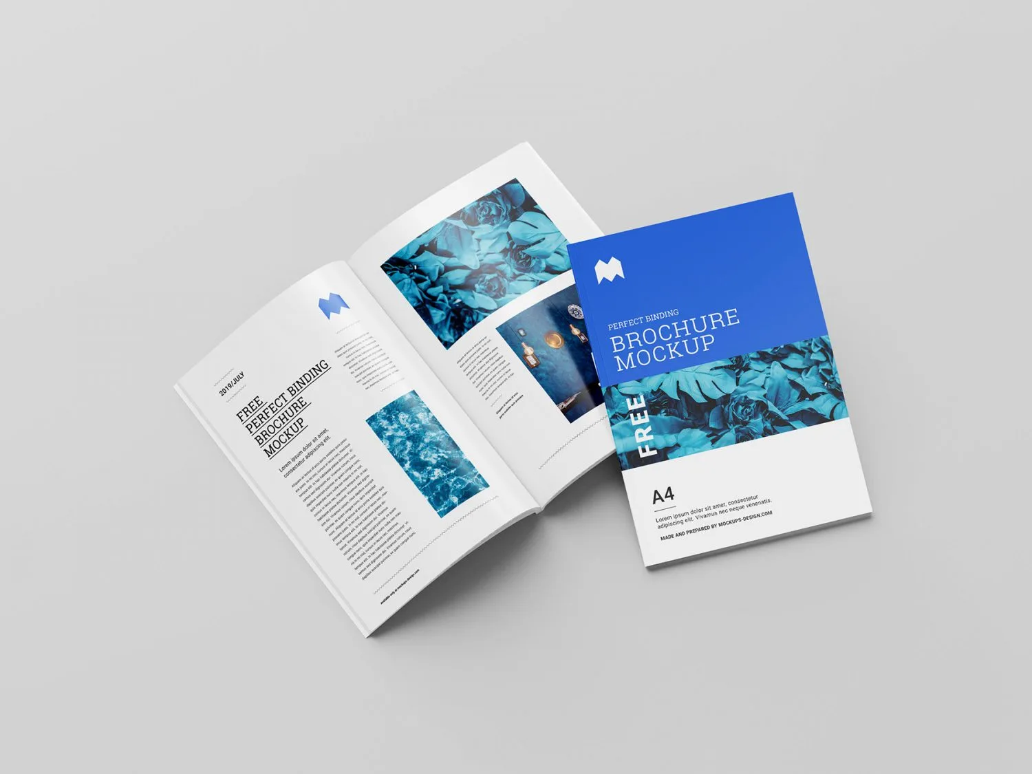 Brochure stampata, aperta sul tavolo